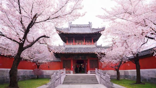 2017农历4月14日