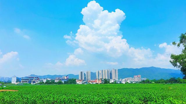 农历八月十八日