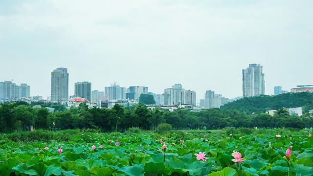 农历5月23日，这一天有哪些特殊意义或习俗？