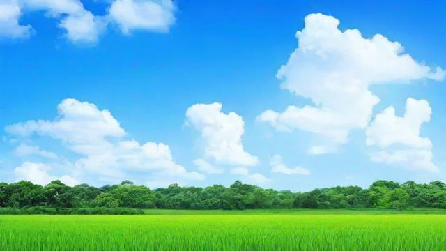 86年农历6月