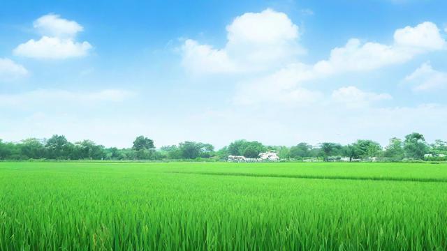 农历7月初10，这一天有什么特殊意义吗？