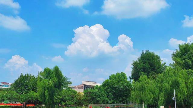 农历7月初10