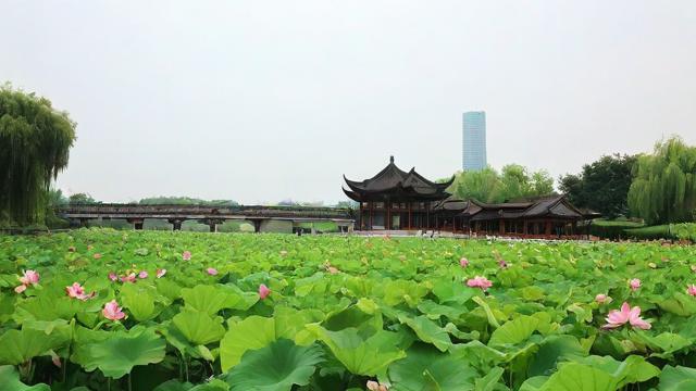 2017年农历五月初四，这一天有什么特殊意义吗？