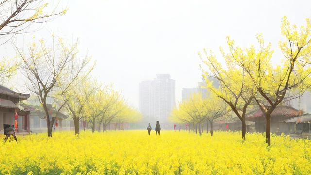 2018年农历立春