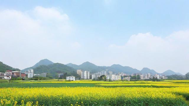 2017农历5月8