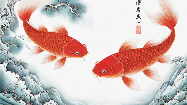 六鱼图在风水中有哪些禁忌需要注意？