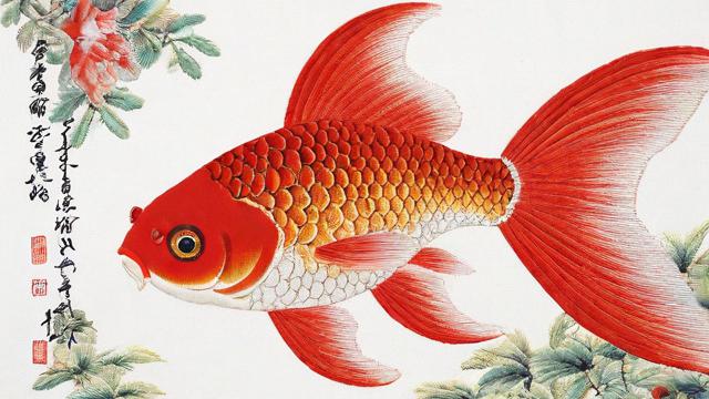 十二红鱼苏绣挂哪风水最佳？