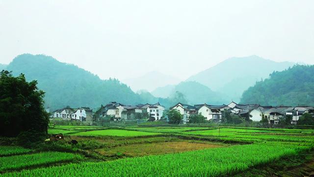 农村看风水怎么看