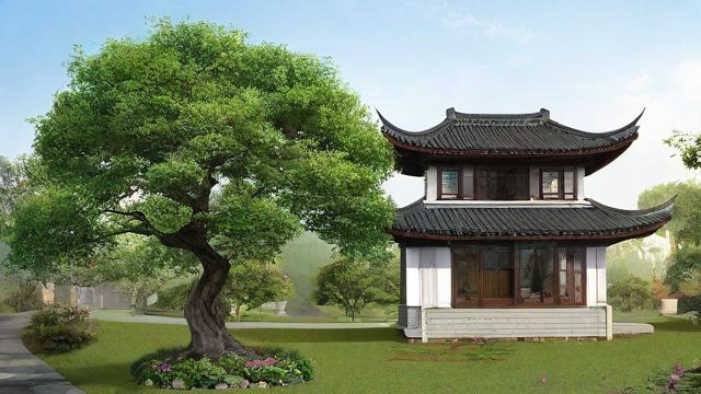 屋前后栽树风水，如何影响家居运势？