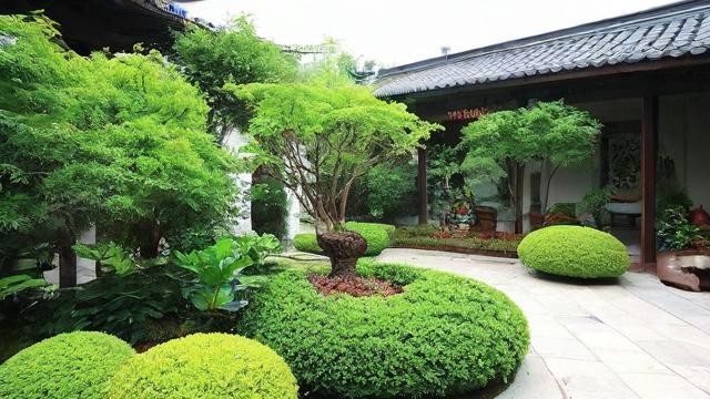 如何运用庭院绿植提升家居风水？