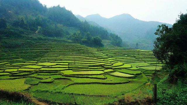 为何我会梦见风水宝地？