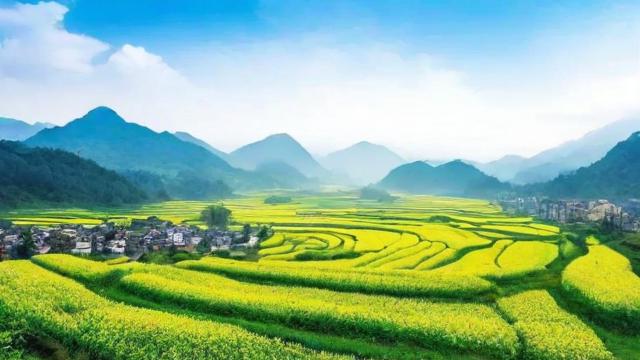 陈春林境象风水书