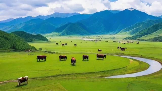 眠牛地风水