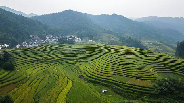 马山风水大地
