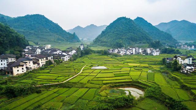 藤县覃村的象棋地风水有何独特之处？