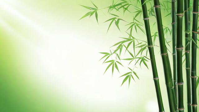 家里养竹子风水好吗