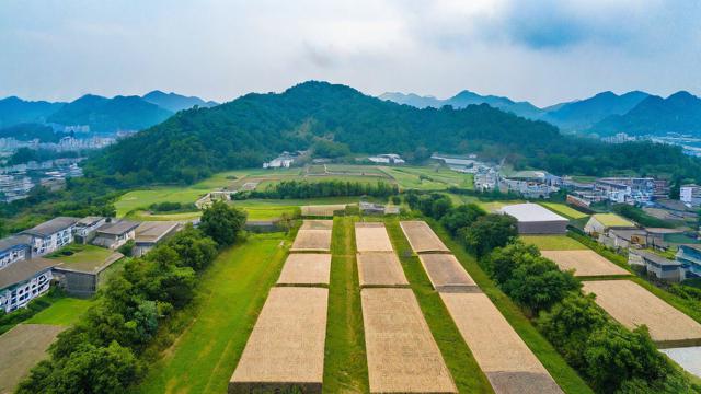罗定地区是否存在一个被誉为最佳的风水墓地？