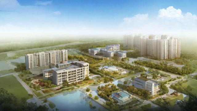 阳宅周围风水图解大全，如何营造和谐家居环境？