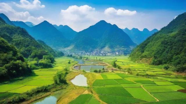 西川命理运气