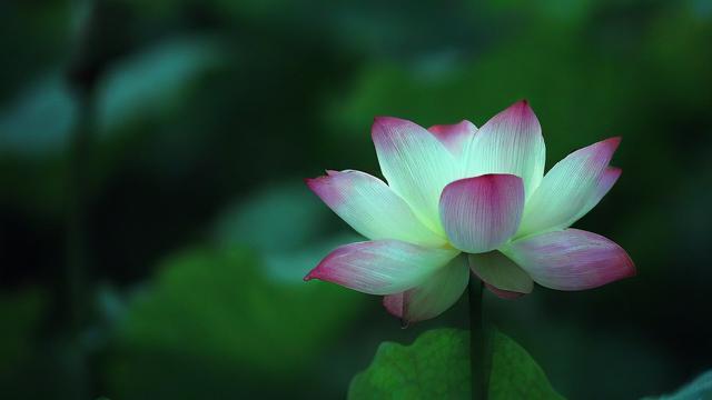 运气怎么上来