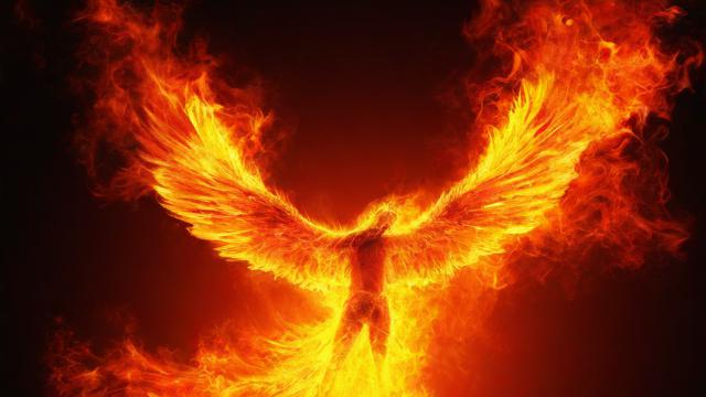 丙火人2014运气