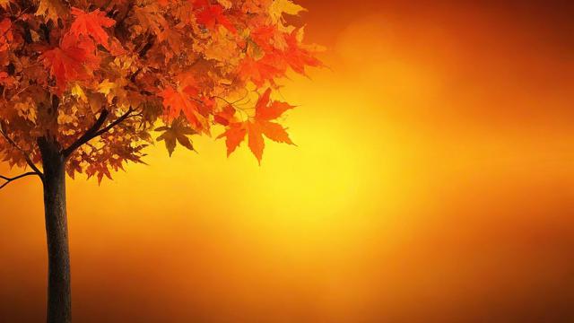为什么11月的运气似乎特别不顺？
