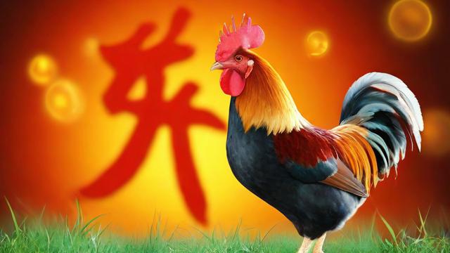 看看鸡年出生的运气