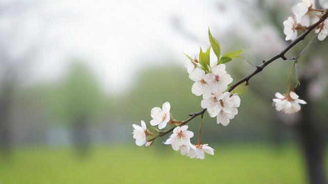 2018立春好运气
