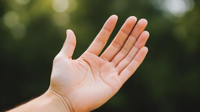 拍照手掌测试运气
