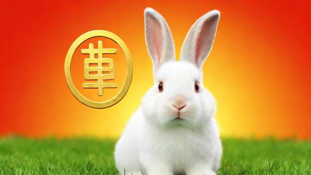 兔年下半年运气如何？