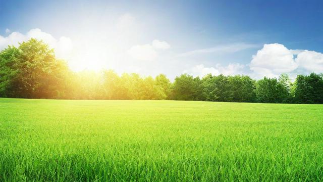 梦见割草运气怎么样