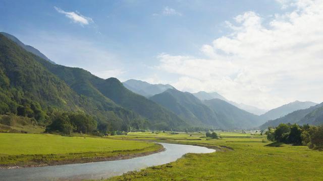 2018年81的运气