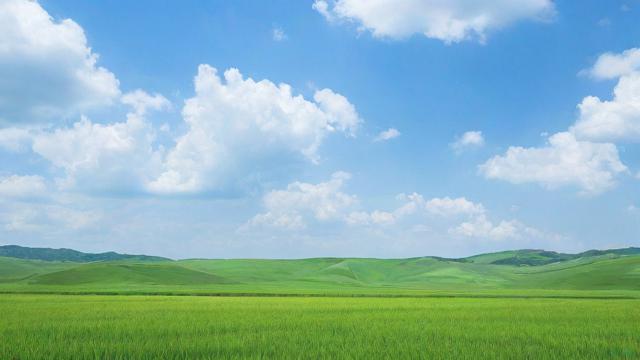 2018年8月运气