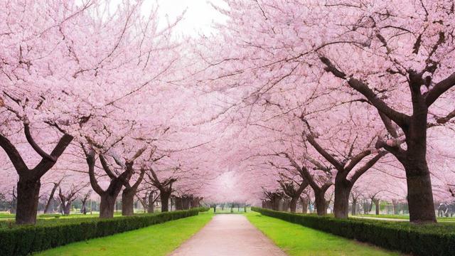 2016年4月，你的运气如何？