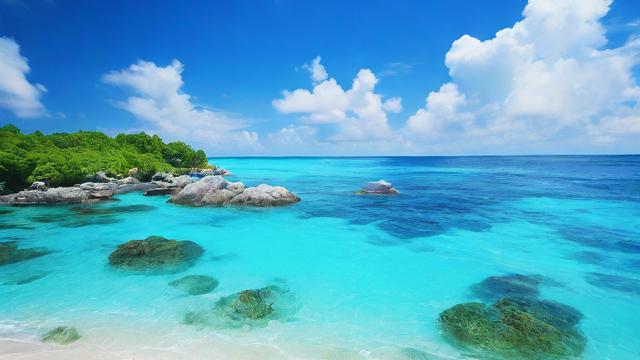 什么是‘海钱运气’？探索其背后的奥秘与影响