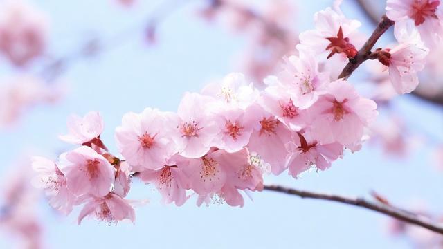 立春那天运气不好