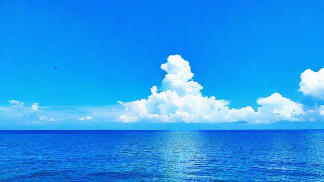 梦到一片海