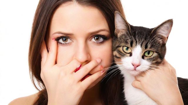 女人梦到被猫抓伤手