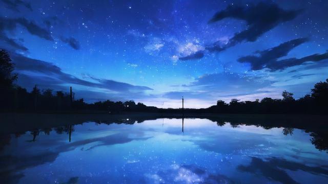 梦到水坑