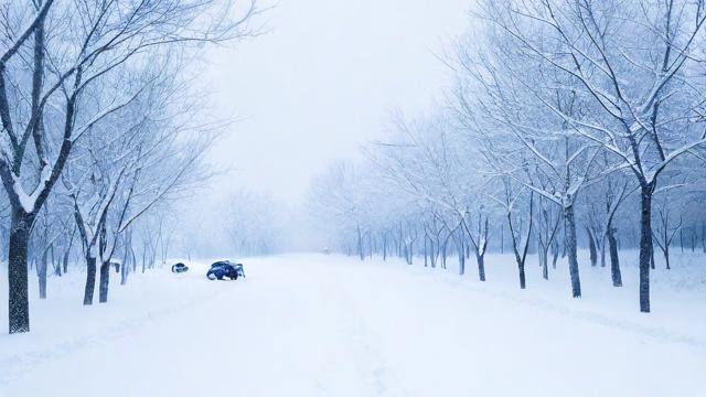 为何会梦到大雪很厚？梦境背后的深意解析