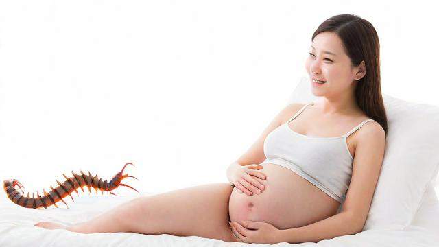 孕妇梦见蜈蚣，这是否预示着什么特别的含义？
