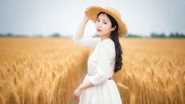 为何我会梦到那片金黄的麦子地？