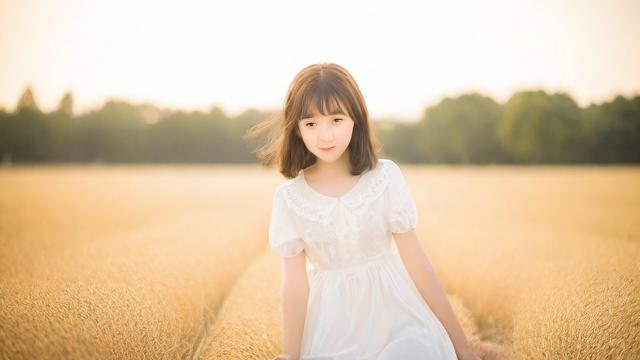 梦到芝麻地