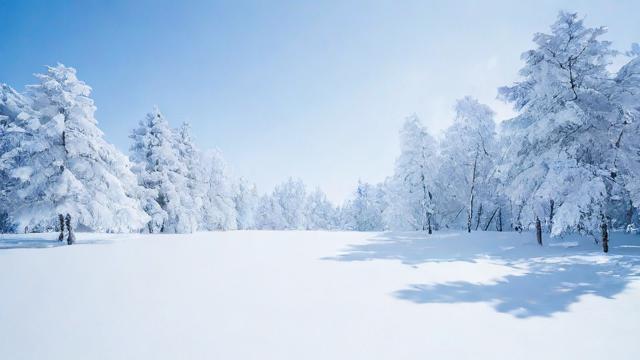 为何我会梦到厚厚的白雪？