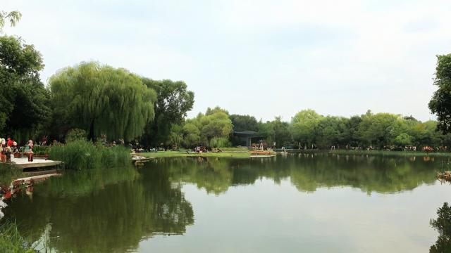 为何我会梦到水塘？