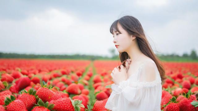 为何我会梦到草莓地？