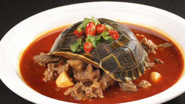 为何会梦到乌龟肉？