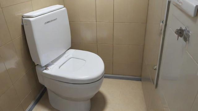 梦到蹲厕所