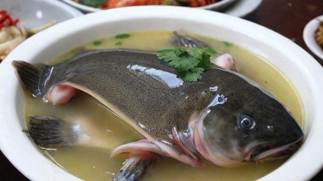 梦到捞甲鱼