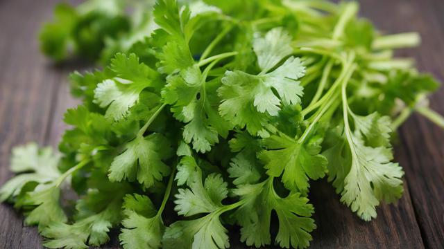 为何我会梦到香菜？